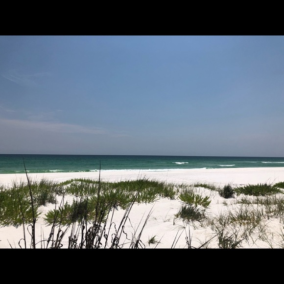 Meet your Posher, Ali - Picture 3 of 7